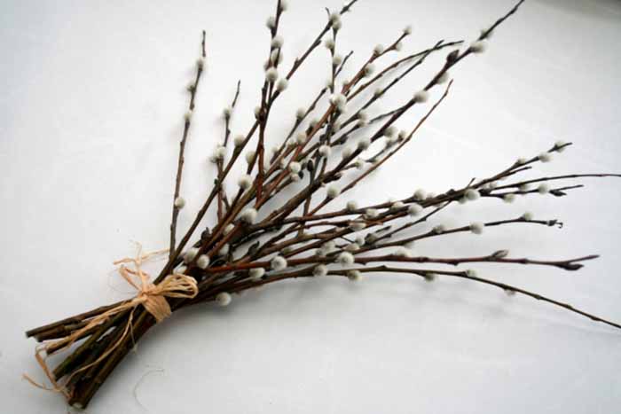 il_fullxfull_925256186_hqnb