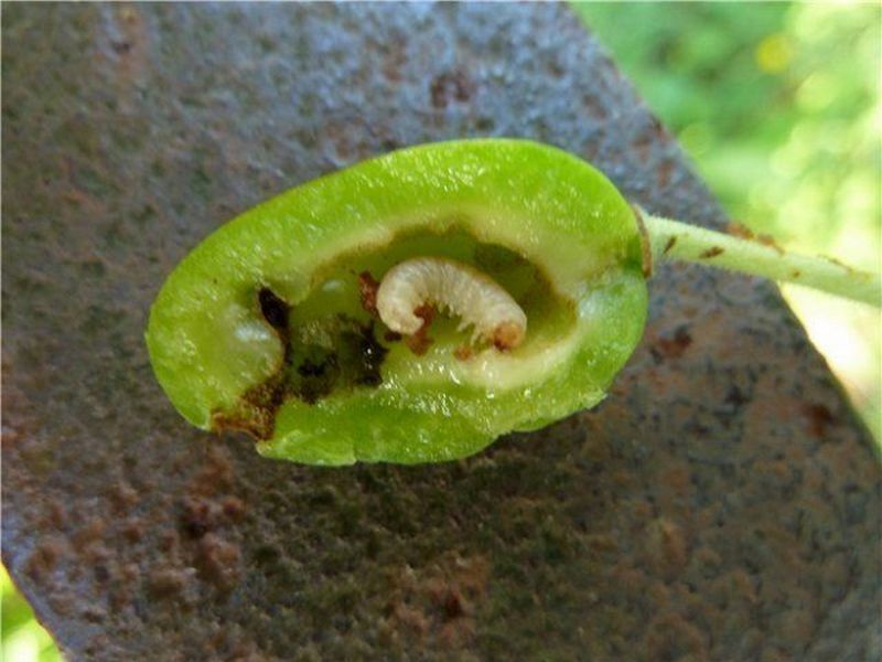 images-cms-image-000054491