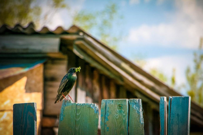 imgonline-com-ua-resize-fpprtjaekzzo