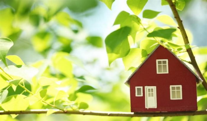 imgonline-com-ua-resize-phmjjcd16wph6