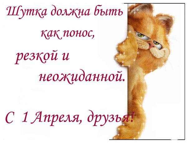 orig_e8914ff8621bf4d62805eec2090621ff