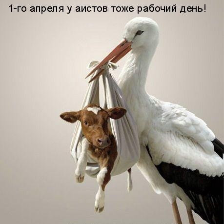 prikoly-na-den-duraka-otkrytki-s-prikolami-na-1-aprelya-2533