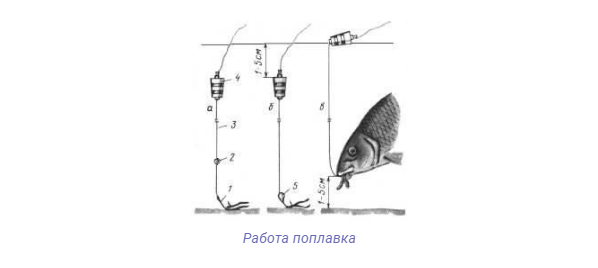 зимняя поплавочная удочка на карася. зимняя донка для стоячей воды. зимняя снасть на карася. оснащение зимней удочки для ловли леща и подлещика. зимняя удочка на карася.