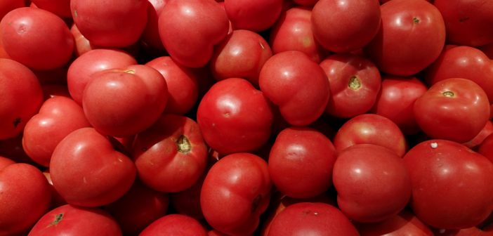 tomato-background-4