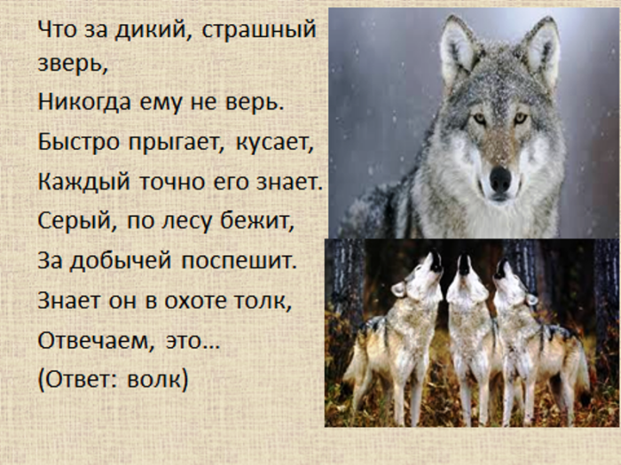 Загадка про волка для детей. Загадка про волка. Стих про волка для детей. Загадка про Волгу.