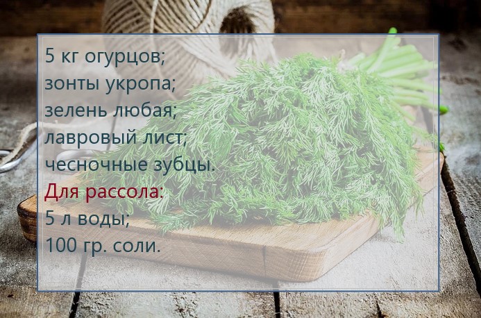 e68e1e9414999f0ed2fa706f82dec77c-ogruc