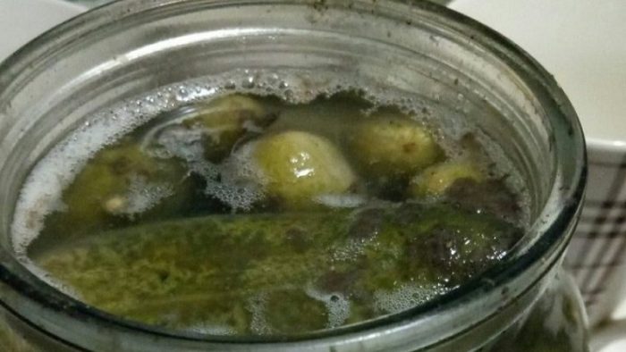 imgonline-com-ua-resize-dgqspt0z2h2twio