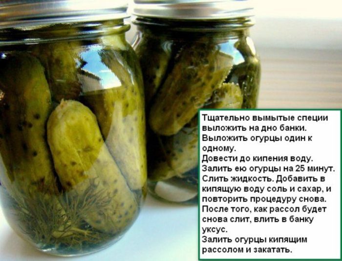 imgonline-com-ua-resize-dzqypnghoecz6p