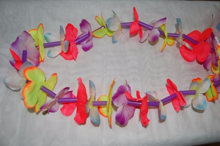 376484090_1_644x461_arenda-gavayskih-leys-kiev