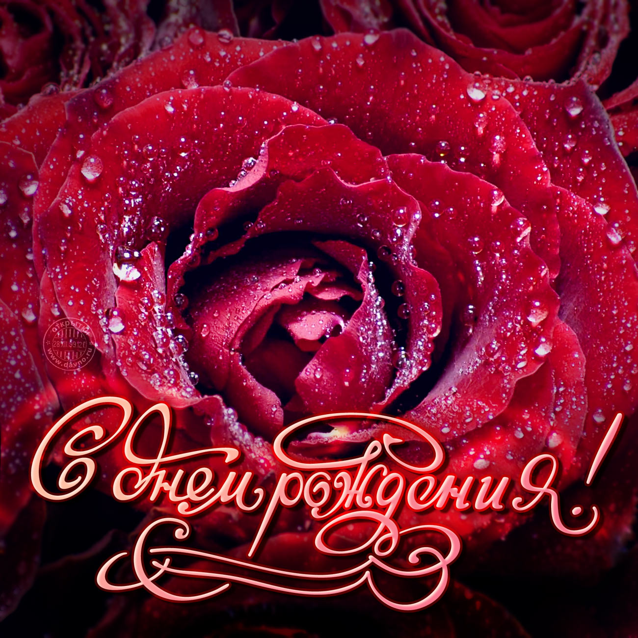Поздравление с днем рождения женщине открытки розы. С днем рождения розы. Открытка с днём рождения. С днем рождения Розочка. Розы поздравление.