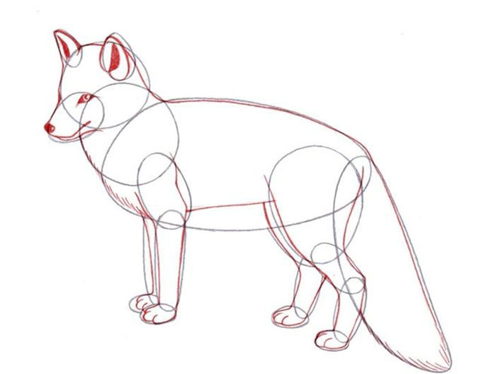 3e2ba009c9629c769c0120ecf0ca9d63