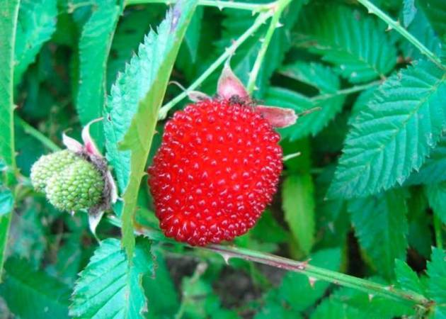 5e3d02ff1f64a7cd88feedc014e652e4