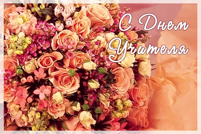 b4d80e00462e77b17bf3fecd602a1c2b_280297937