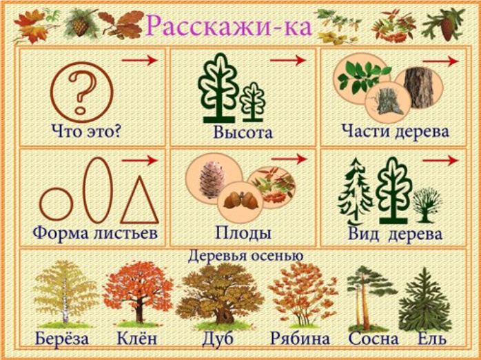 Описательный рассказ по картине в старшей группе