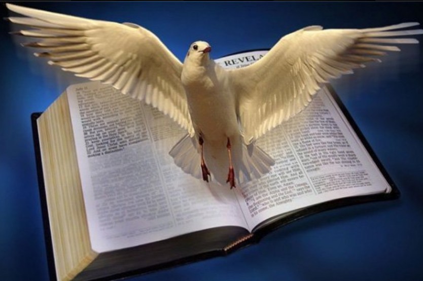 Книга с крыльями. Голубь и Библия. Крылатые выражения. Сообщение крылатые