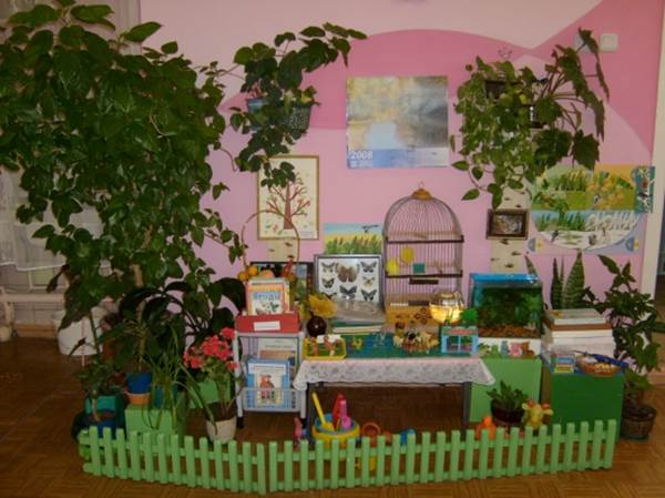 plants_in_kindergarten_4