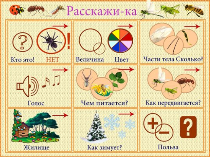 Описательный рассказ по схеме подготовительная группа