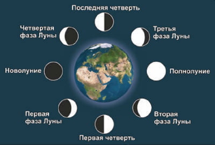 4 фазы луны в картинках с названиями