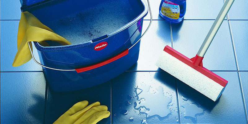 boyatsya-li-tarakany-hlorki3