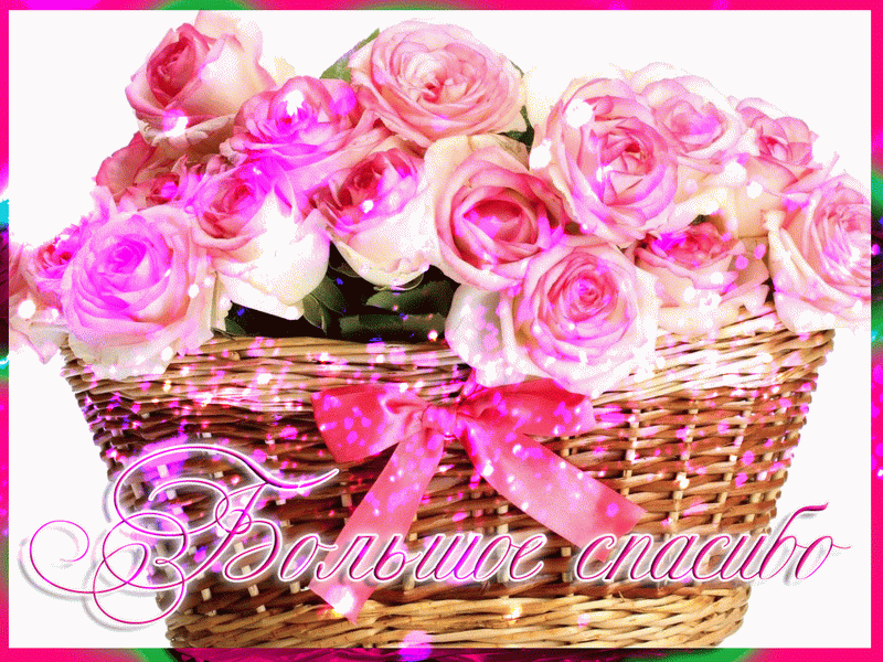 db63a4fc663e4842186a-1