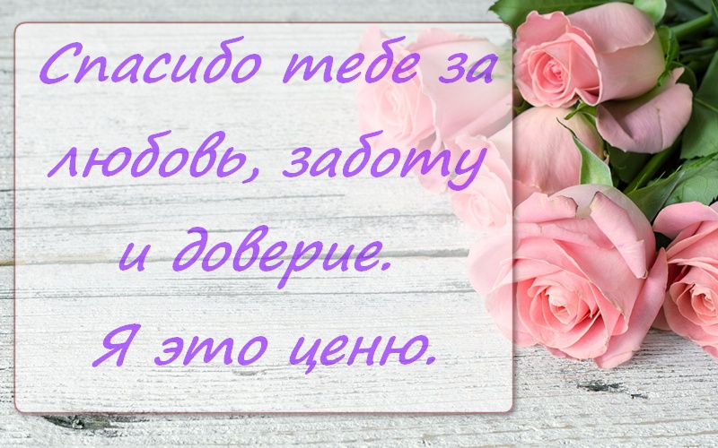 fon-s-rozovimi-rozami-orig