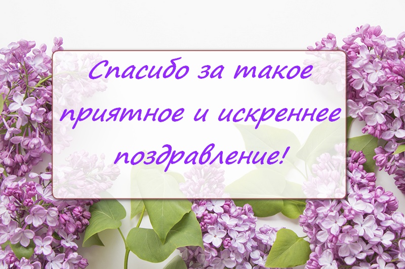 lilac_white_background_template_greeting_card_528991_1280x853