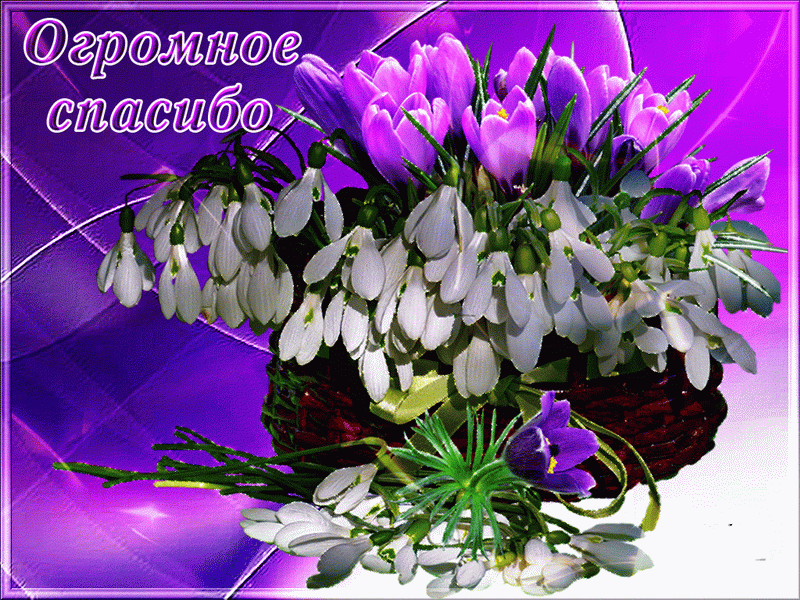 otkrytki-spasibo-blagodaryu-krasivaya-otkrytka-s-nadpisyu-spasibo-6407