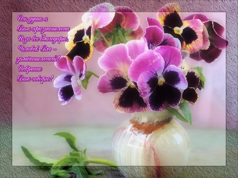 picasion-com_0043304ebe49925b7a9915ad6c7186cf