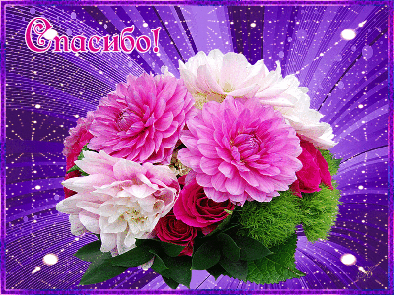 picasion-com_1e99ab3d322e8d14ef7d343f4f634b5e