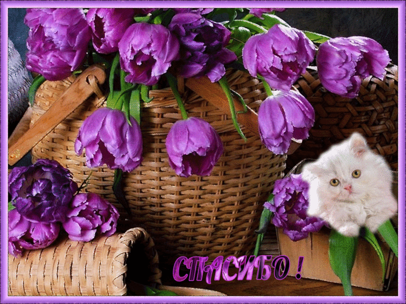 picasion-com_51e26306dc4a383cfce5b50a82e4b0e1