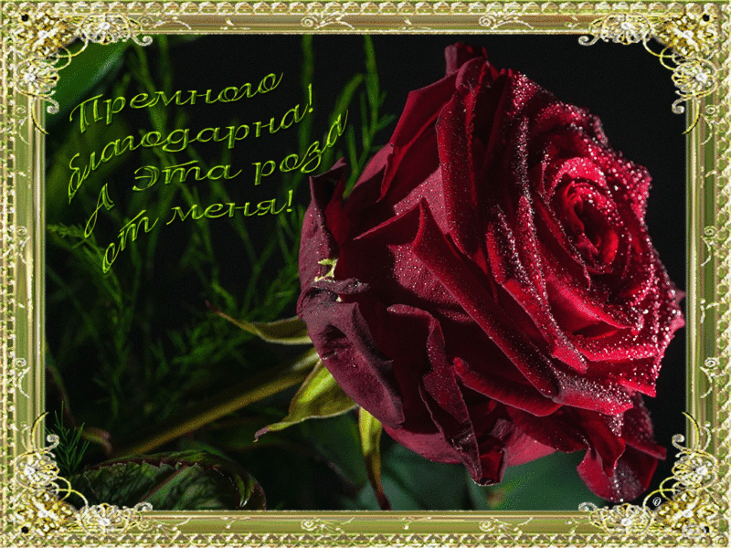 picasion-com_7ac6be9aabc84db6dee245f3ce7f9308