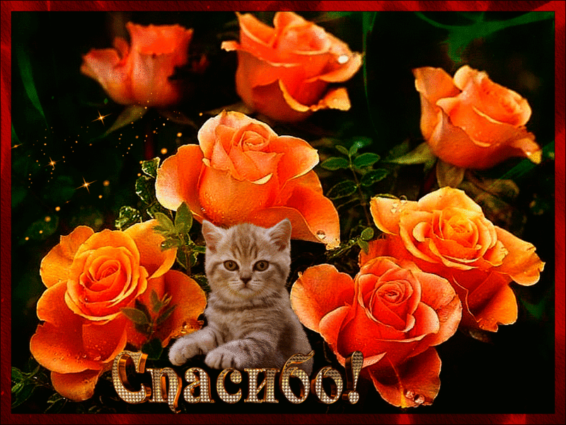 picasion-com_847e56575201d8f1e72fe7c441471051