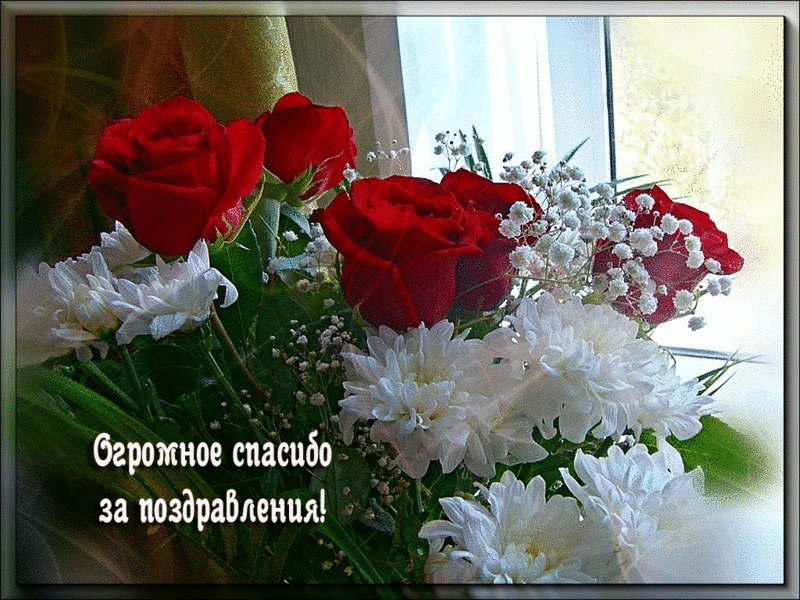 picasion-com_9ef594d27a6e389f69b986e3dd8a8bcd