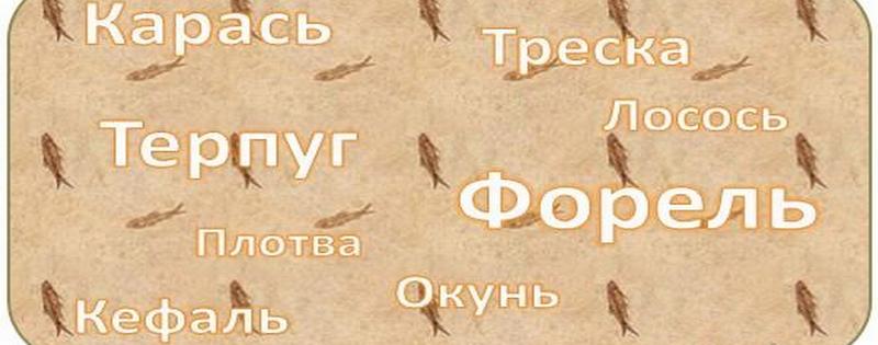 rybnaja-anomalija-zadacha