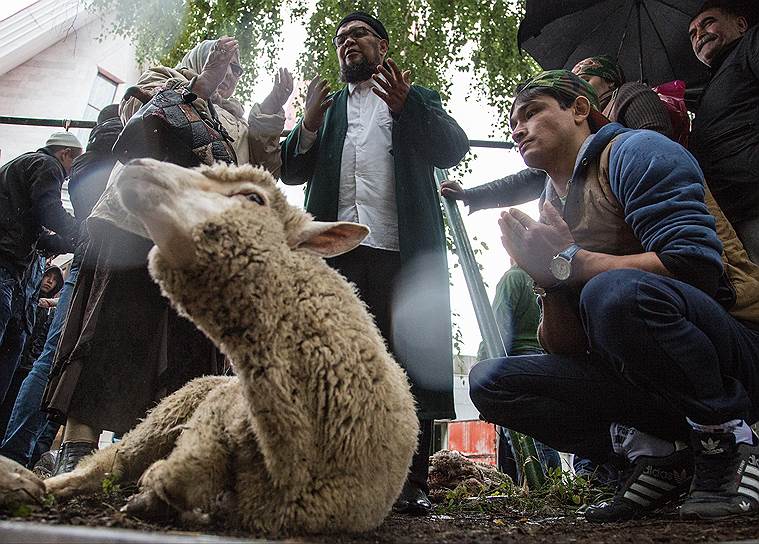 Праздник Курбан-байрам: История и традиции - 112 Украина