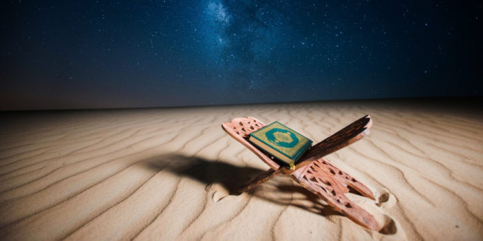 koran-na-derevyannoj-podstavke-v-nochnoj-pustyne