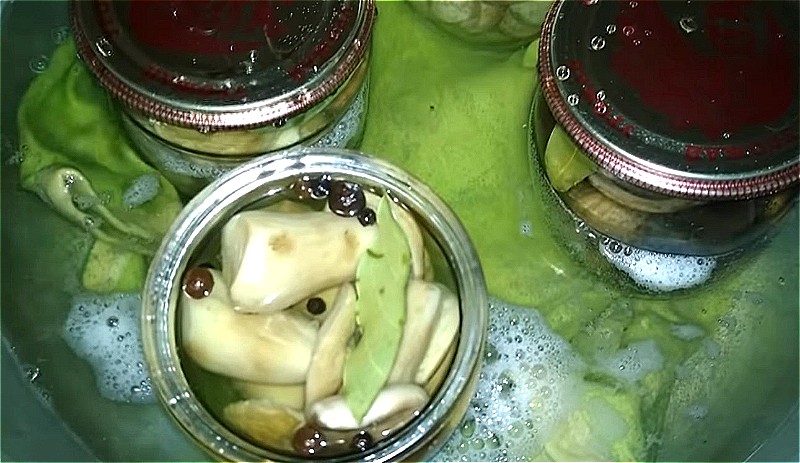 8796504-3chizhvsrinadom-i-stavim-sterilizovatsya