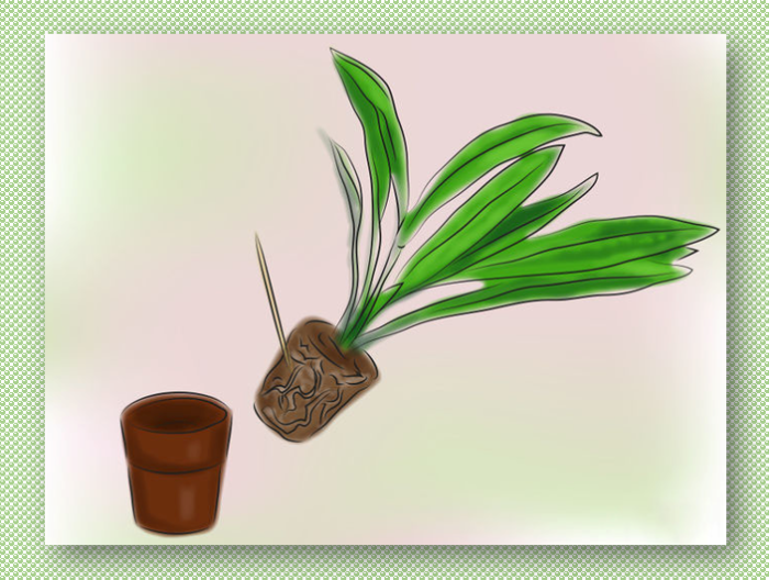 screenshot_5