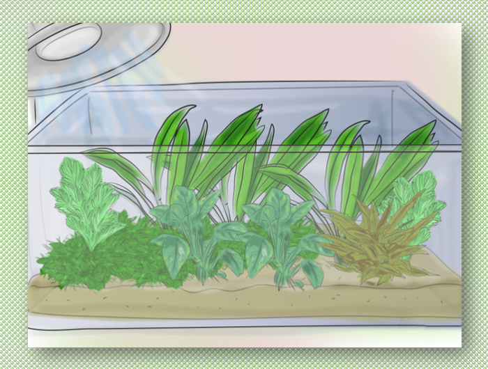 screenshot_7