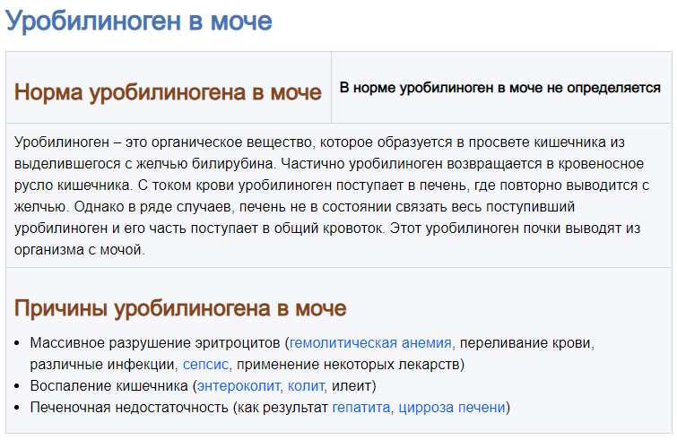 16rpoladvzhiyef