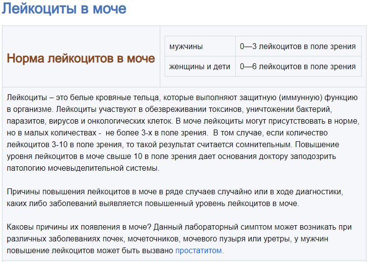 18proldzhye