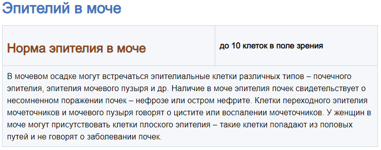 21proldzhye