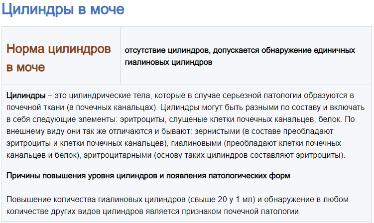 22ivaproldzhye