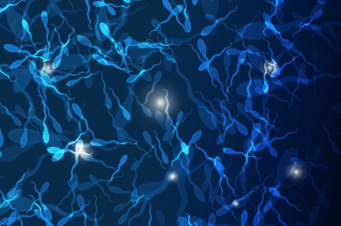 large-preview-shutterstock_64401670