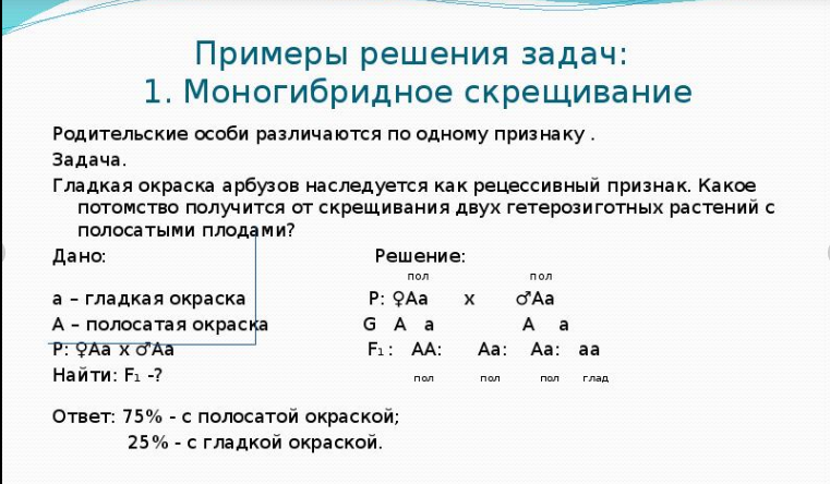 11yubt