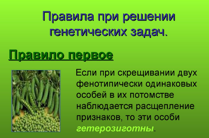 2fivaproldzhye