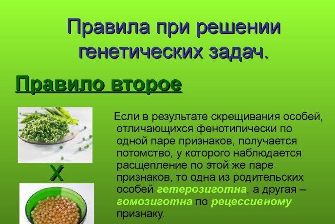 3ivyu-hzshhshgrpav