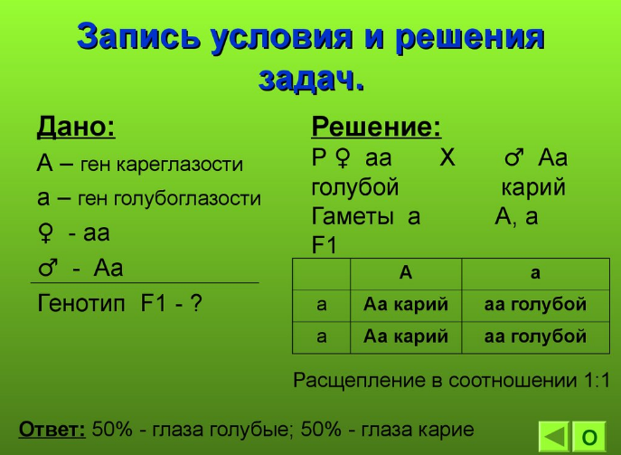 9dlorp