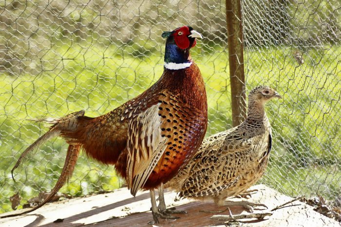 ithtihzrtkseii459806y