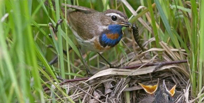 og_og_158059359138431180